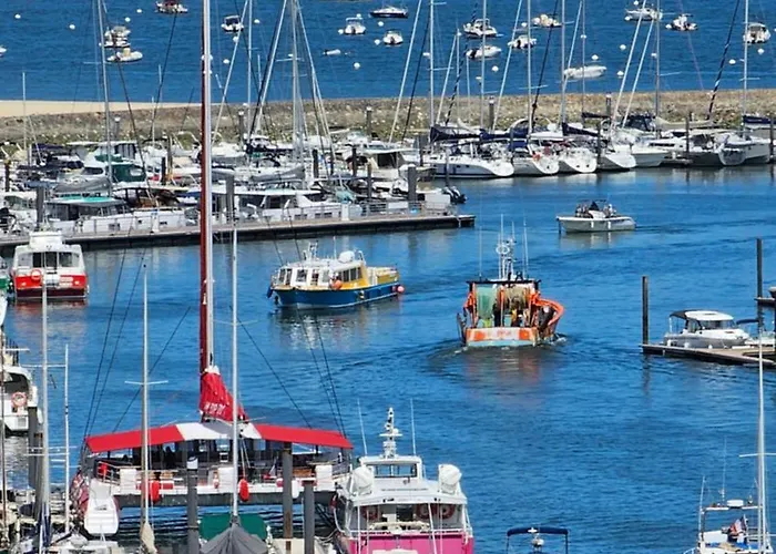 Vue Panoramique Sur Bassin,piscine Et Terrasse * Arcachon
