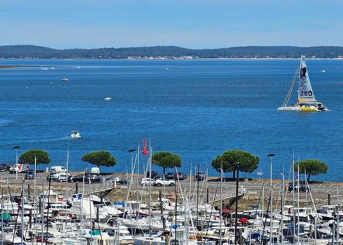 Vue Panoramique Sur Bassin,piscine Et Terrasse