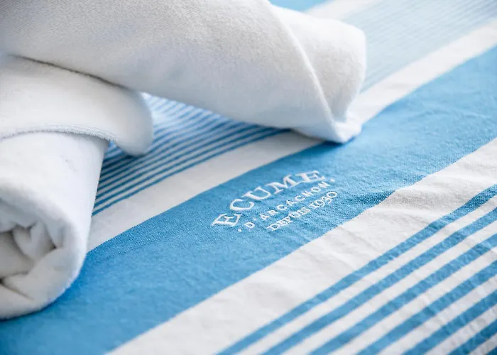 Vue Panoramique Sur Bassin,piscine Et Terrasse * Arcachon